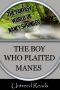 [The Fantasy World of Nancy Springer 01] • The Boy Who Plaited Manes